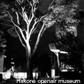 THE HAKONE OPEN-AIR MUSEUM 箱根彫刻の森美術館